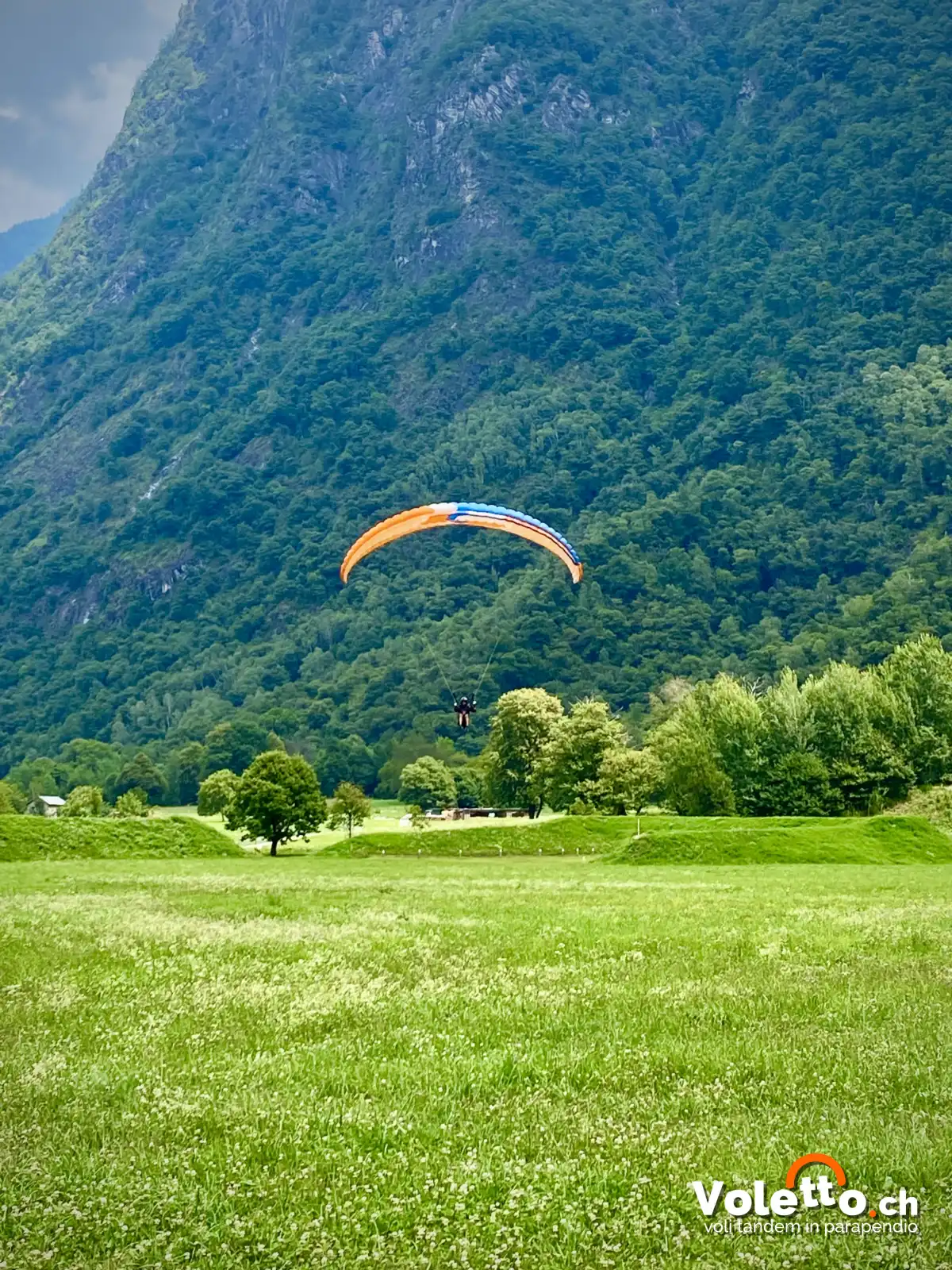 Parapendio in atterraggio sul prato di Grono